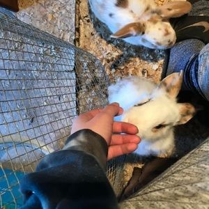 Meet your Posher, Jazminn